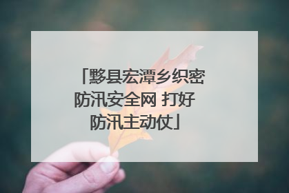 黟县宏潭乡织密防汛安全网 打好防汛主动仗