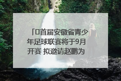 ﻿首届安徽省青少年足球联赛将于9月开赛 拟邀请赵鹏为先导赛开球