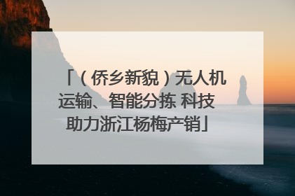 （侨乡新貌）无人机运输、智能分拣 科技助力浙江杨梅产销