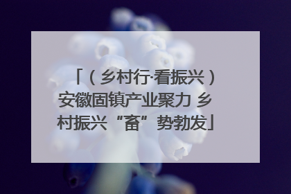 （乡村行·看振兴）安徽固镇产业聚力 乡村振兴“畜”势勃发