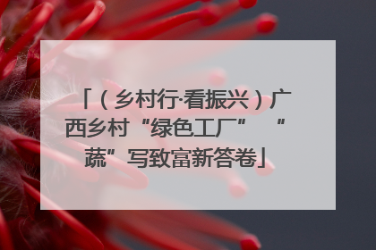 （乡村行·看振兴）广西乡村“绿色工厂” “蔬”写致富新答卷