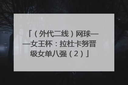 （外代二线）网球——女王杯：拉杜卡努晋级女单八强（2）
