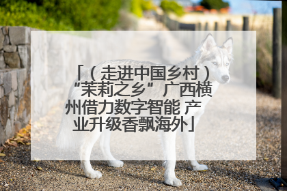 （走进中国乡村）“茉莉之乡”广西横州借力数字智能 产业升级香飘海外