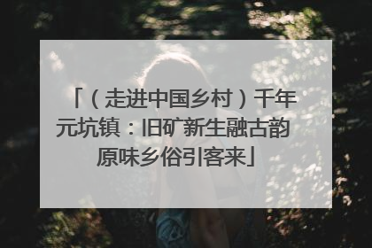 （走进中国乡村）千年元坑镇：旧矿新生融古韵 原味乡俗引客来