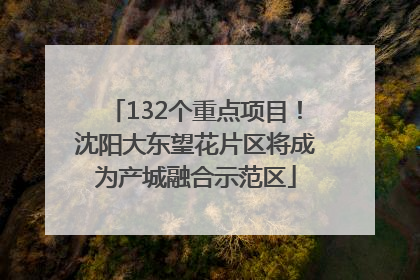 132个重点项目！沈阳大东望花片区将成为产城融合示范区