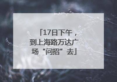 17日下午，到上海路万达广场“问招”去