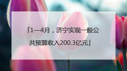 1—4月，济宁实现一般公共预算收入200.3亿元