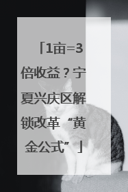 1亩=3倍收益？宁夏兴庆区解锁改革“黄金公式”