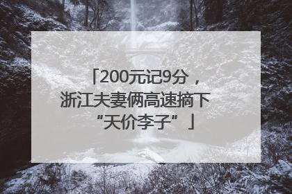 200元记9分，浙江夫妻俩高速摘下“天价李子”