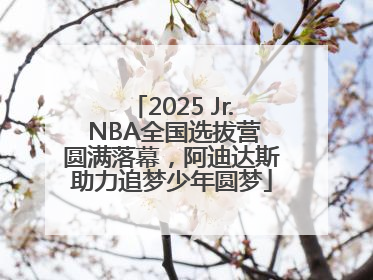 2025 Jr. NBA全国选拔营圆满落幕，阿迪达斯助力追梦少年圆梦