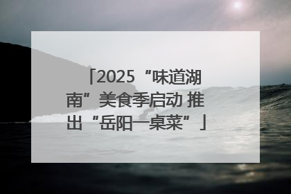 2025“味道湖南”美食季启动 推出“岳阳一桌菜”