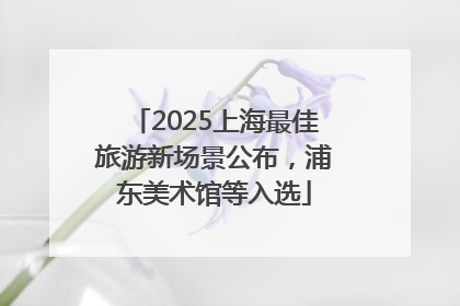 2025上海最佳旅游新场景公布，浦东美术馆等入选