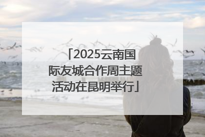 2025云南国际友城合作周主题活动在昆明举行