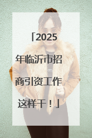 2025年临沂市招商引资工作这样干！