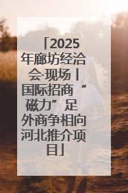 2025年廊坊经洽会·现场丨国际招商“磁力”足 外商争相向河北推介项目