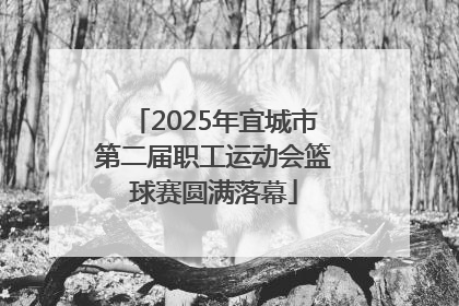 2025年宜城市第二届职工运动会篮球赛圆满落幕