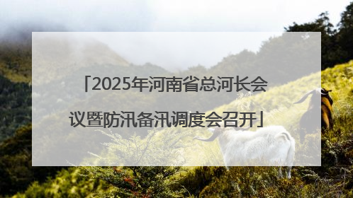 2025年河南省总河长会议暨防汛备汛调度会召开