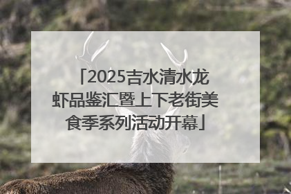 2025吉水清水龙虾品鉴汇暨上下老街美食季系列活动开幕