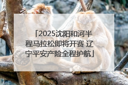 2025沈阳和河半程马拉松即将开赛 辽宁平安产险全程护航