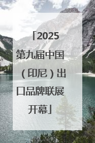 2025第九届中国（印尼）出口品牌联展开幕