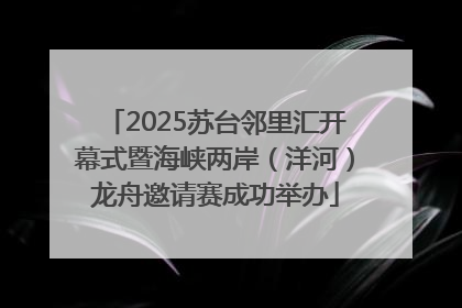 2025苏台邻里汇开幕式暨海峡两岸（洋河）龙舟邀请赛成功举办