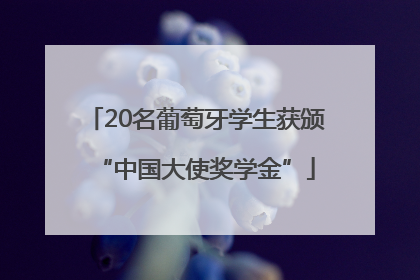 20名葡萄牙学生获颁“中国大使奖学金”
