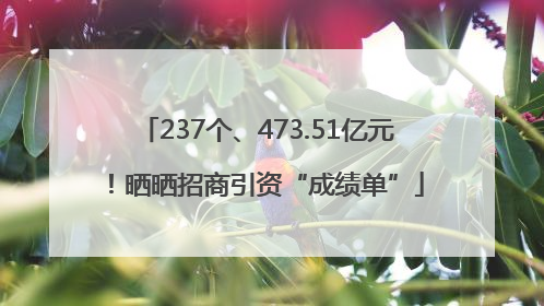 237个、473.51亿元！晒晒招商引资“成绩单”