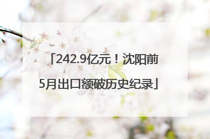 242.9亿元！沈阳前5月出口额破历史纪录