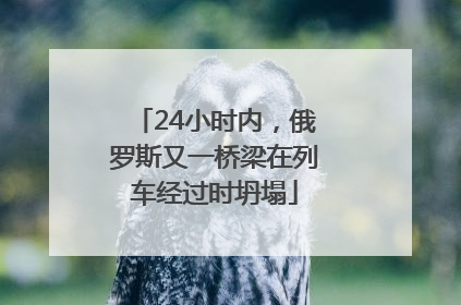 24小时内，俄罗斯又一桥梁在列车经过时坍塌