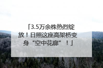 3.5万余株热烈绽放！日照这座高架桥变身“空中花廊”！