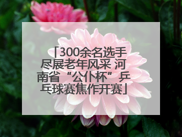300余名选手尽展老年风采 河南省“公仆杯”乒乓球赛焦作开赛