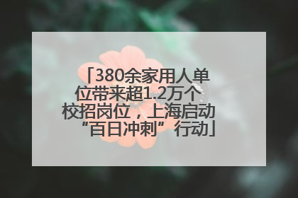 380余家用人单位带来超1.2万个校招岗位，上海启动“百日冲刺”行动