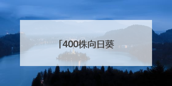 400株向日葵空降武汉校园