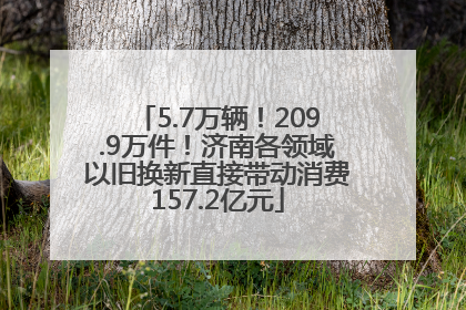5.7万辆！209.9万件！济南各领域以旧换新直接带动消费157.2亿元