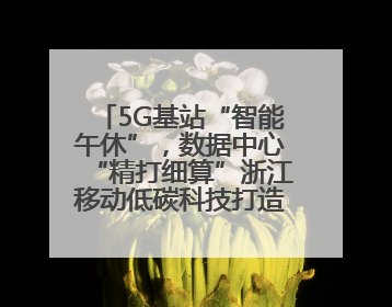 5G基站“智能午休”，数据中心“精打细算”浙江移动低碳科技打造“绿色流量”
