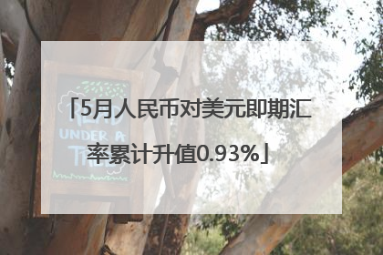 5月人民币对美元即期汇率累计升值0.93%