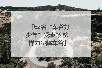 62名“车谷好少年”受表彰 榜样力量耀车谷