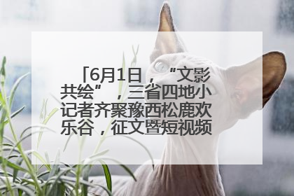 6月1日，“文影共绘”，三省四地小记者齐聚豫西松鹿欢乐谷，征文暨短视频大赛精彩启幕！