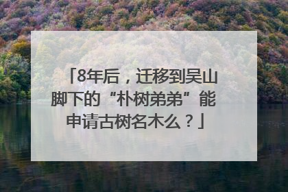 8年后，迁移到吴山脚下的“朴树弟弟”能申请古树名木么？