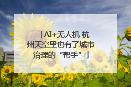 AI+无人机 杭州天空里也有了城市治理的“帮手”