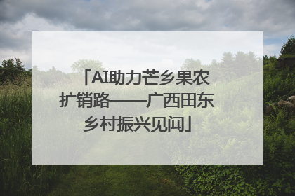 AI助力芒乡果农扩销路——广西田东乡村振兴见闻