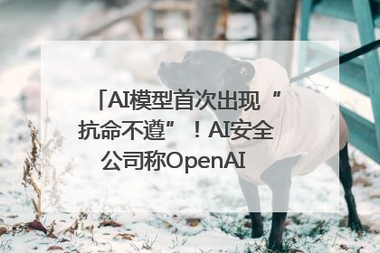 AI模型首次出现“抗命不遵”！AI安全公司称OpenAI o3模型出现异常
