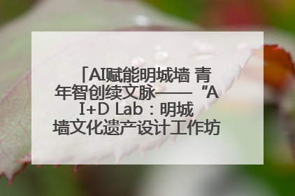 AI赋能明城墙 青年智创续文脉——“AI+D Lab：明城墙文化遗产设计工作坊”在南京开营