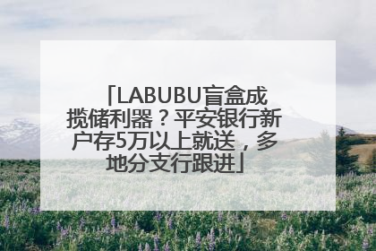 LABUBU盲盒成揽储利器？平安银行新户存5万以上就送，多地分支行跟进